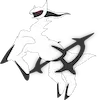 Arceus X Executer